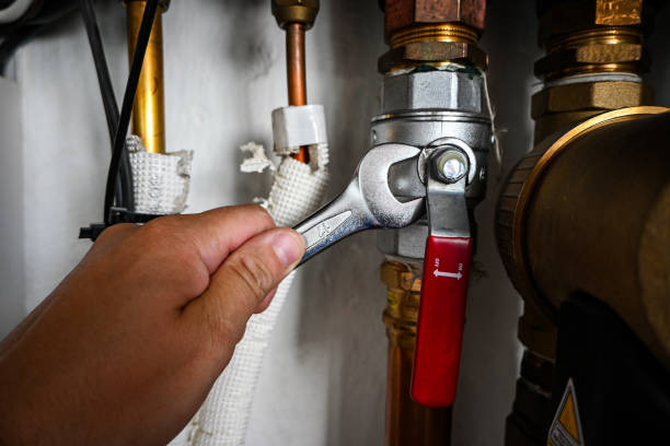 Best Residential Plumbing in Coyne Center, IL